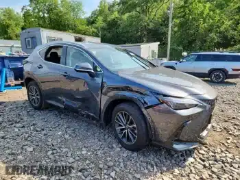2026 Lexus NX 450h+ Premium