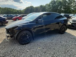 
										Tesla MODEL Y full									