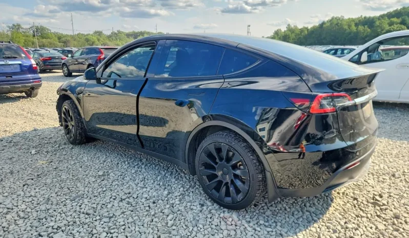 
								Tesla MODEL Y full									