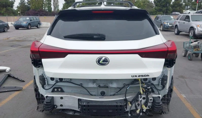 
								Lexus UX 250H full									