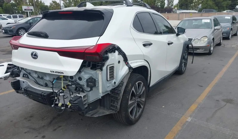 
								Lexus UX 250H full									