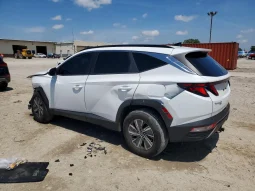 
										Hyundai Tucson full									
