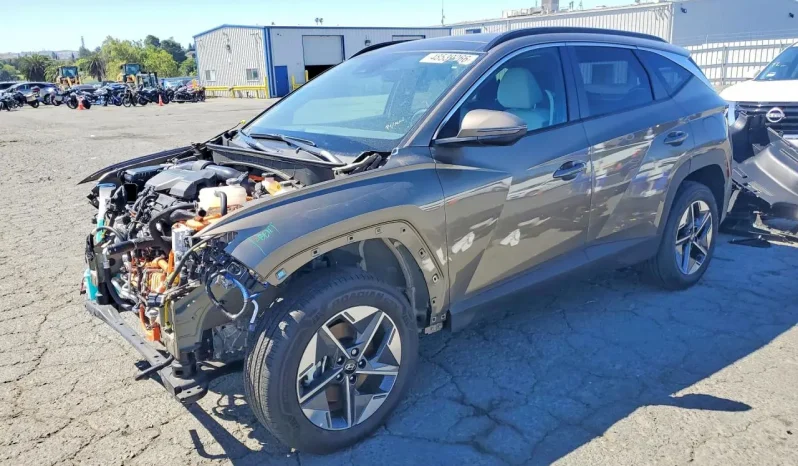
								Hyundai Tucson Hybrid full									