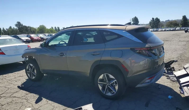 
								Hyundai Tucson Hybrid full									