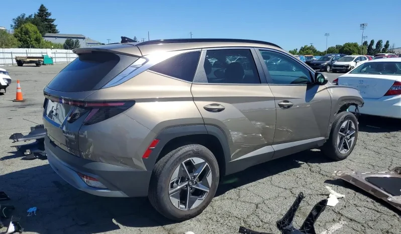 
								Hyundai Tucson Hybrid full									