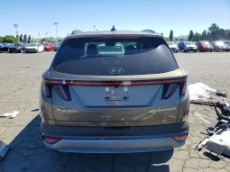 
										Hyundai Tucson Hybrid full									
