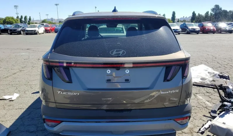 
								Hyundai Tucson Hybrid full									