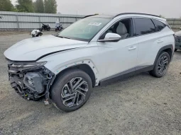 
										Hyundai Tucson Hybrid full									