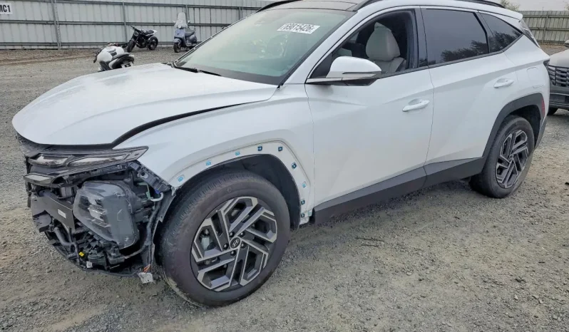 
								Hyundai Tucson Hybrid full									