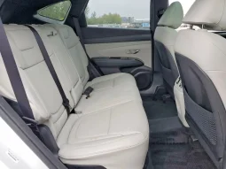 
										Hyundai Tucson Hybrid full									
