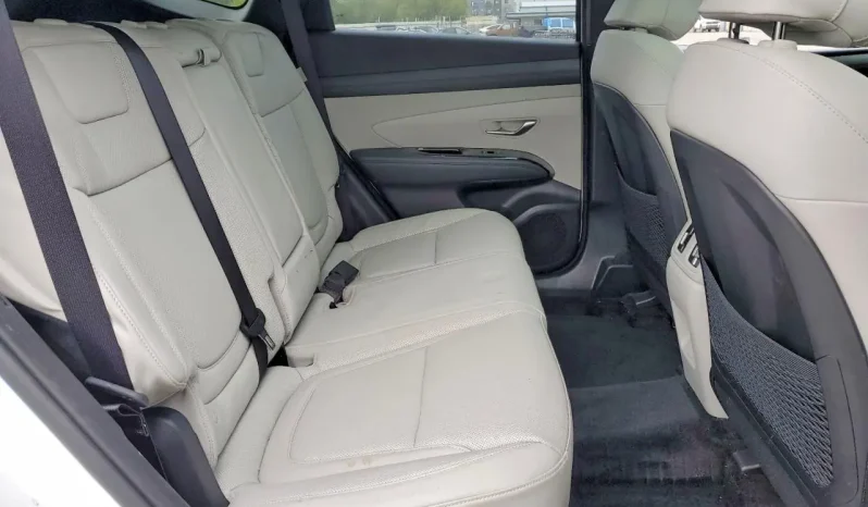 
								Hyundai Tucson Hybrid full									