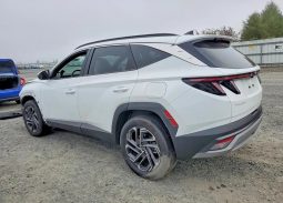 
										Hyundai Tucson Hybrid full									