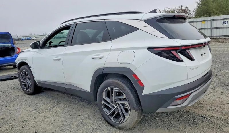 
								Hyundai Tucson Hybrid full									
