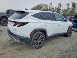 
										Hyundai Tucson Hybrid full									