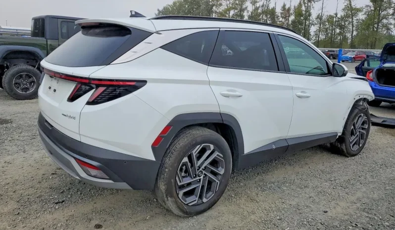 
								Hyundai Tucson Hybrid full									