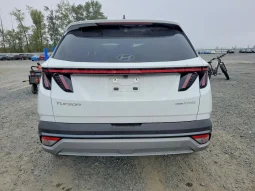
										Hyundai Tucson Hybrid full									