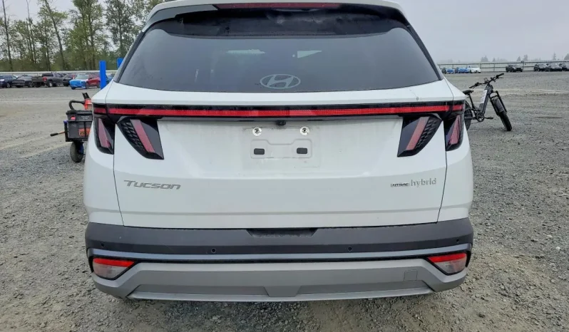 
								Hyundai Tucson Hybrid full									
