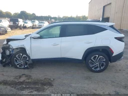 
										Hyundai Tucson full									