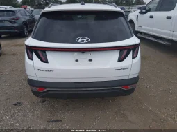 
										Hyundai Tucson full									