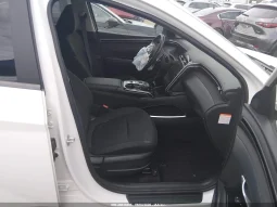
										Hyundai Tucson full									
