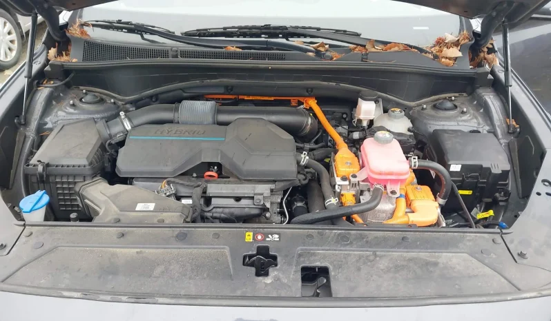 
								Hyundai Santa Fe full									