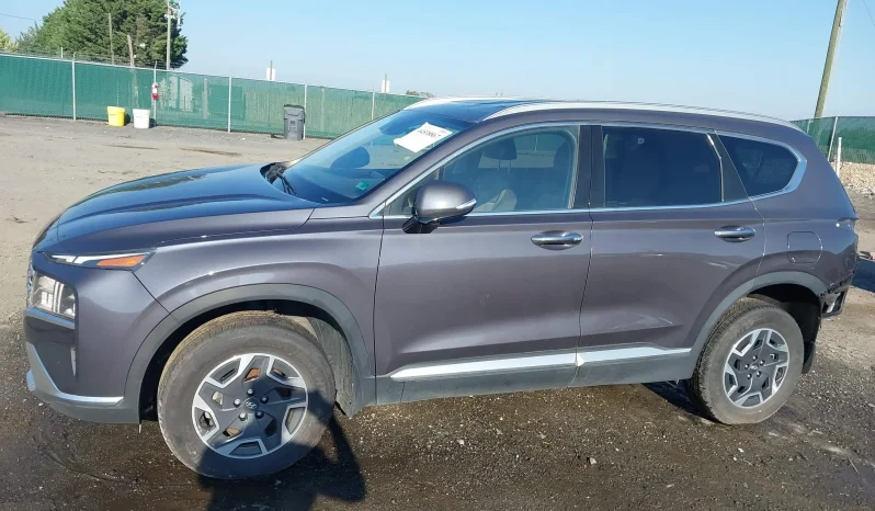 
								Hyundai Santa Fe full									