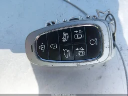 
										Hyundai Santa Fe full									