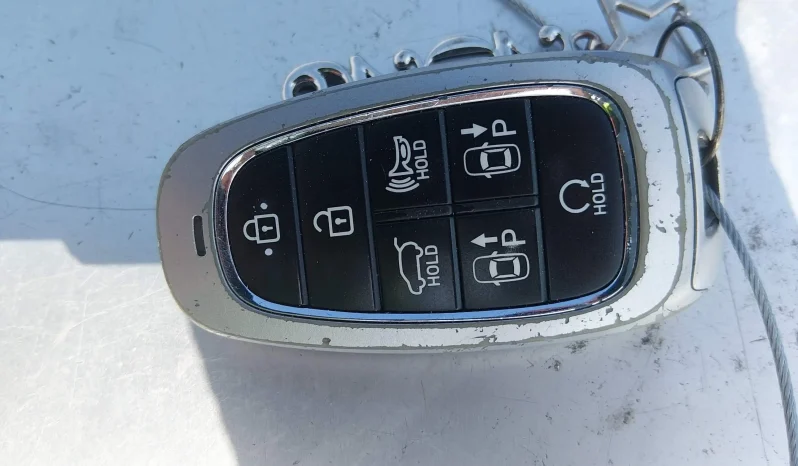 
								Hyundai Santa Fe full									