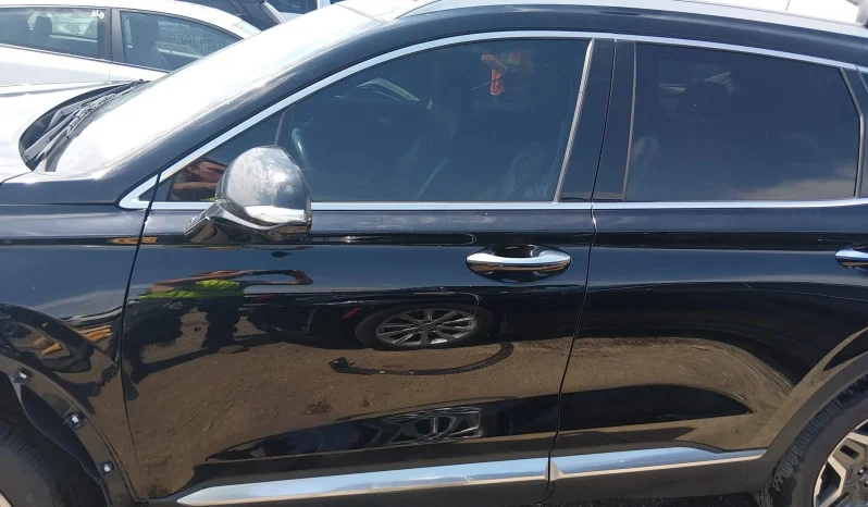 
								Hyundai Santa Fe full									