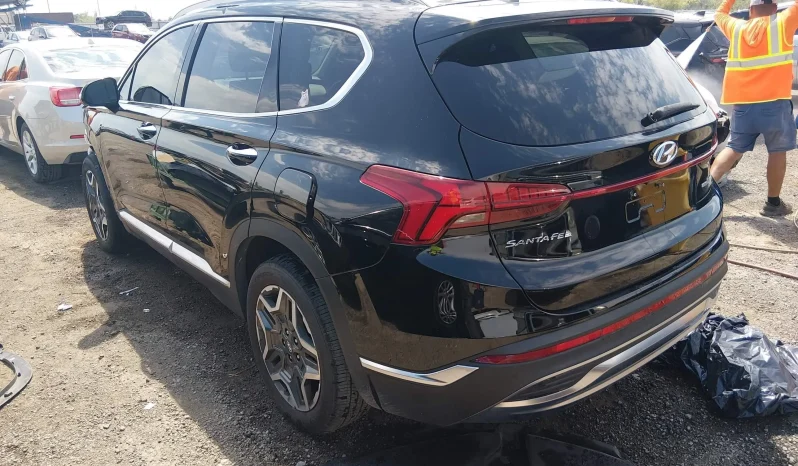 
								Hyundai Santa Fe full									