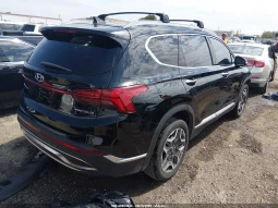 
										Hyundai Santa Fe full									