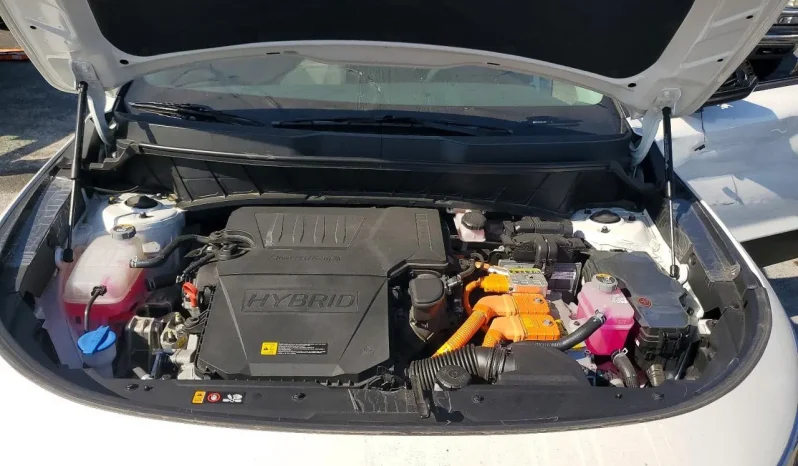 
								KIA Niro full									