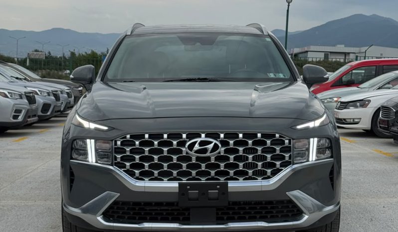 
								Hyundai Santa full									