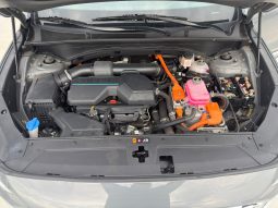 
										Hyundai Santa full									