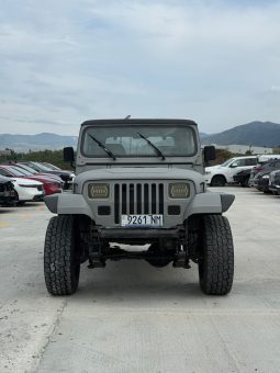 
										1994 Jeep Wrangler full									