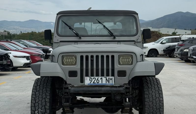 
								1994 Jeep Wrangler full									