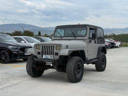 
										1994 Jeep Wrangler full									