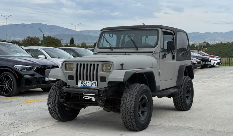 
								1994 Jeep Wrangler full									