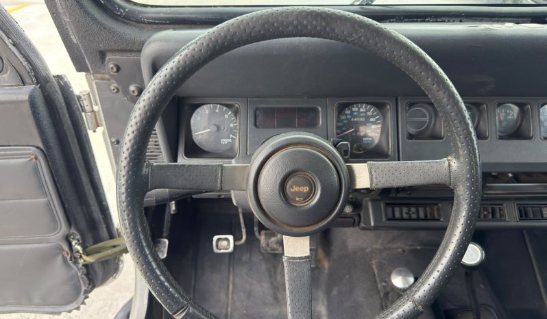 
								1994 Jeep Wrangler full									