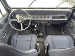 
										1994 Jeep Wrangler full									