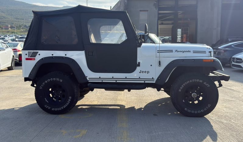 
								1977 Jeep CJ full									